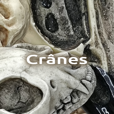  bijoux cranes